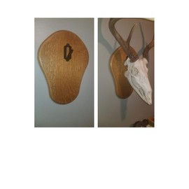 Skull Hanger Original 3 Pack