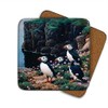 Puffins Cliff Edge Drinks Coasters by Wildlife Artist Julian Friers