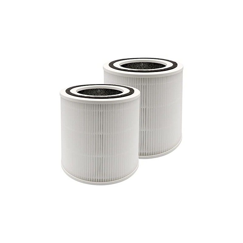 Flintar 2-Pack of AP005 H13 True HEPA Replacement Filter, Compatible