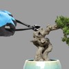 LEONTOOL Bonsai Tool Set - 8" Concave Cutters and 8"