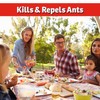 I Must Garden Ant Control - Kills & Repels -
