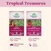 ORGANIC INDIA Tulsi Hibiscus Tea Bags - Holy Basil Herbal
