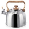 Kettle Kettle Whistling Kettle Stainless Steel with Thermometer 3.2 L