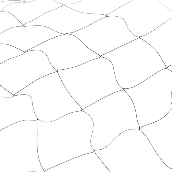 Unbranded Anti Bird Net 7.61x15.24M for Farms and Vineyards Agricultural
