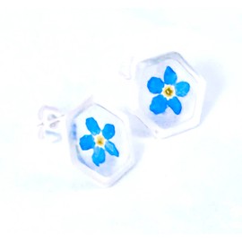 Real Pressed Forget me not Silver Hexagon shape Surgical Steel Stud Earrings, Myosotis Flower Jewellery, Nature jewellery, Botanical Earrings, Floral Jewellery,