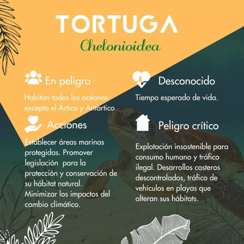 Vidamía Jabón Artesanal Gde Te Blanco Oolong Antioxidante Vegano