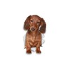 Winston & Bear 3D Dachshund Stickers - 2 Pack -