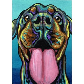 CafePress Rainbow Rottweiler Throw Blanket Super Soft Fleece Plush Throw Blanket, 60"x50"