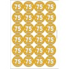 Hooray 75 Seventy Five Seventy Fifth 75th Birthday Circular Matt