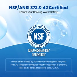 Waterspecialist WS608 Water Filter, Replacement for Whirlpool® EDR3RXD1, 4396841, Everydrop® Filter 3, 4396710, Kenmore® 46-9083, 46-9030, Refrigerator Water Filter, 3 Filters