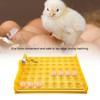 56 Eggs Mini Incubator Hatcher Automatic Egg Turning Tray Tool