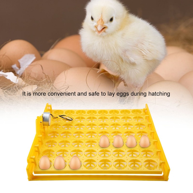 56 Eggs Mini Incubator Hatcher Automatic Egg Turning Tray Tool