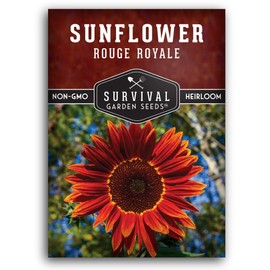 1 Pack Rouge Royale Sunflower Seeds for Planting with Instructions to Grow Crimson Flowers in Your Home Flower & Vegetable Garden - Non-GMO Heirloom Moulin Rouge Sunflower Seed - Survival Garden Seeds