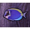 Aquatic Planet Reef Tank Fish Stickers Holographic Shiny Corals for