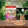 MEZCLA DE SEMILLAS P/HAMSTER 1 KG