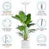 LORDEM Full Spectrum LED Grow Lights, Brightness Adjustable Plant Lamps