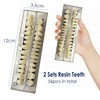Pack of 56 False Teeth Dentures 2 Sets Synthetic Resin