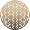 Fourth Level MFG 12" Flower of Life, Seed of Life,