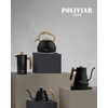 Poliviar Modern Kettle Induction Whistling Kettle Stainless Steel Tea Kettle