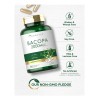 Bacopa Monnieri 2000 Mg Suplemento Sin Gluten 180 Capsulas Sabor
