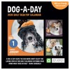 TF Publishing 2026 Dog A Day Daily Desktop Calendar