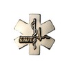 SAVE Lapel Pin Nursing Doctor RN EMT SAVE ROSC EMS