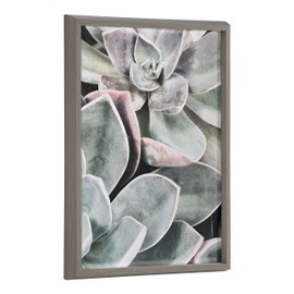 Kate and Laurel Blake Botanical Succulent Plants 1 Framed Printed Glass Wall Art by The Creative Bunch Studio, 18x24 Gray, Lovely Nature Art for Wall