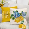 Tikeciti Spring Summer Lemon Pillow Covers Blue Hydrangea 18 x
