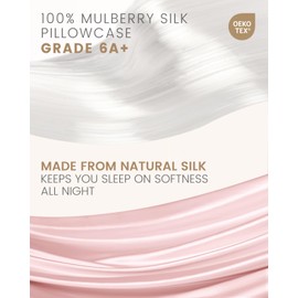 THXSILK Set of 2 Mulberry Silk Zipper Pillow Cases - Highest Grade 6A+ Pure Mulberry Real Silk Pillowcase, 19 Momme Both Sides for Hair and Skin (Light Pink, Queen Size 20"x30")