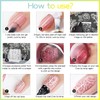 Biutee Nail Image Plate Set of 12 Nail Plates 1