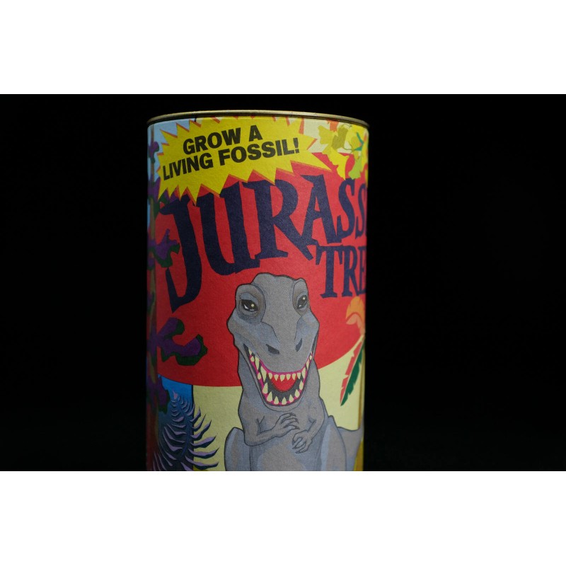 The Jonsteen Company Jurassic Ginkgo Tree | Seed Grow Kit