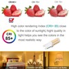 G9 LED Bulb, Dimmable 40W T4 G9 Bulb Halogen Equivalent,