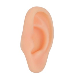 Ear Model,Professional Soft Silicone Left Ear Model Fake Ear Display Sample For Study Practice Teaching Tool (Left Ear)