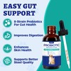 Wellix 120ml Liquid Probiotic for Cats & Dogs, Aiding Digestive