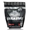 Creatina Monohidratada 1 kg BlackBear 200 servicios Bolsa