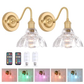 Shenmoyl Battery Operated Wall Sconce Set of 2, Vintage Rechargeable Wall Lights with Clear Lily Glass Shade, Wireless Indoor Wall Lamp with Remote for Bedroom Living Room Bathroom