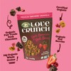 Love Crunch Organic Dark Chocolate & Red Berries Granola, 11.5