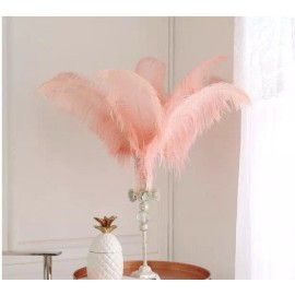 Feather paradise Peach Blush Pink 12 Pieces Ostrich Feather 12-14 inches Dozen Wedding Centerpiec