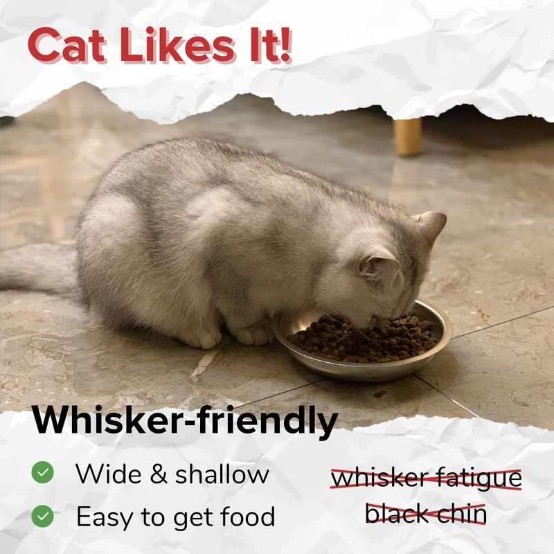 PEDAY 304 Stainless Steel Cat Bowls, 2 Pack, Whisker Friendly