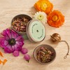 Divya's Calming Peace of Mind Tea, Ayurvedic Herbal Tea with