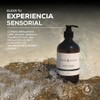 Body Wash Santal | 500 ml | Limpieza e Hidratación