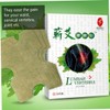 FOMIYES 20pcs Self-heating Moxibustion Paste for Waist Hot Pads for