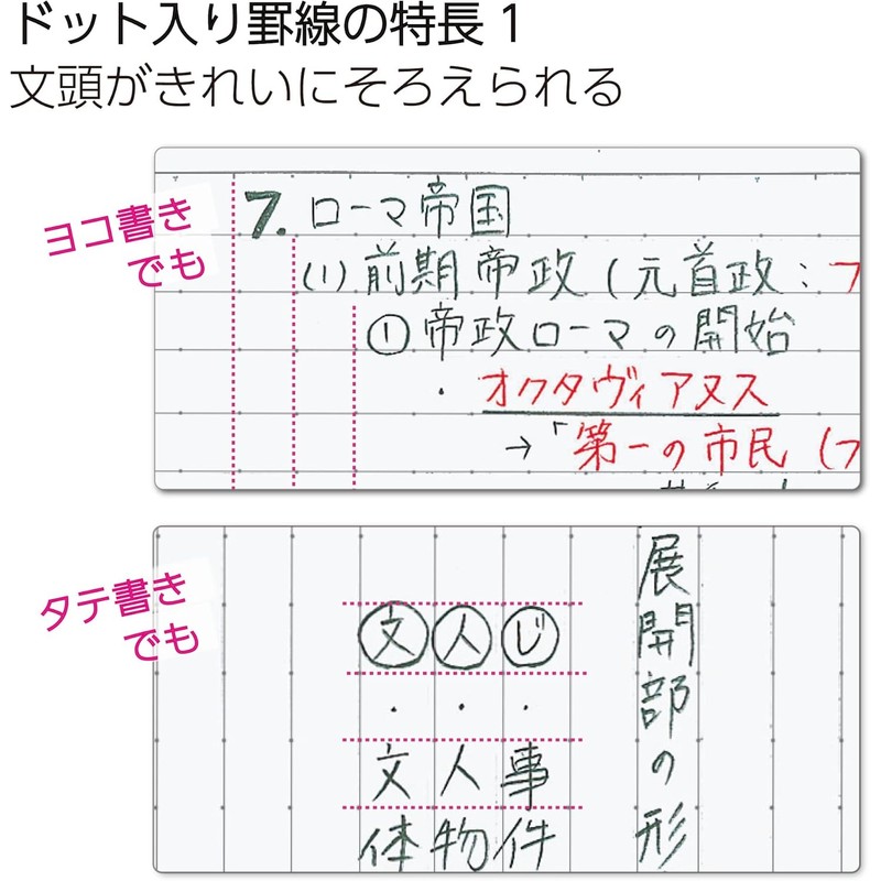 Kokuyo No-3CBTN-L40X5 Campus Notebook, Limited Positive Smokey, Semi B5, Doted,