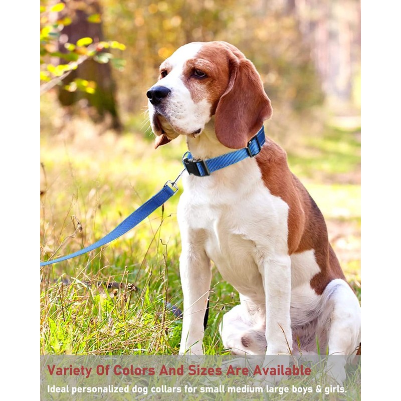Reflective Dog Collar with Buckle Adjustable Safety Nylon Collars for
