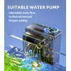5 Gallon Fish Tank Aquarium Kit with Filter, LED Light