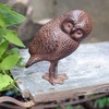 Achla Designs Saw Whet Owl Garden Statue