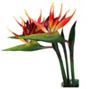 3 Pcs Large Bird of Paradise 32 Inch Permanent Flower,UV