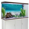 AWERT 48x24 inches Undersea Aquarium Background Pool Ocean Floor Aquarium
