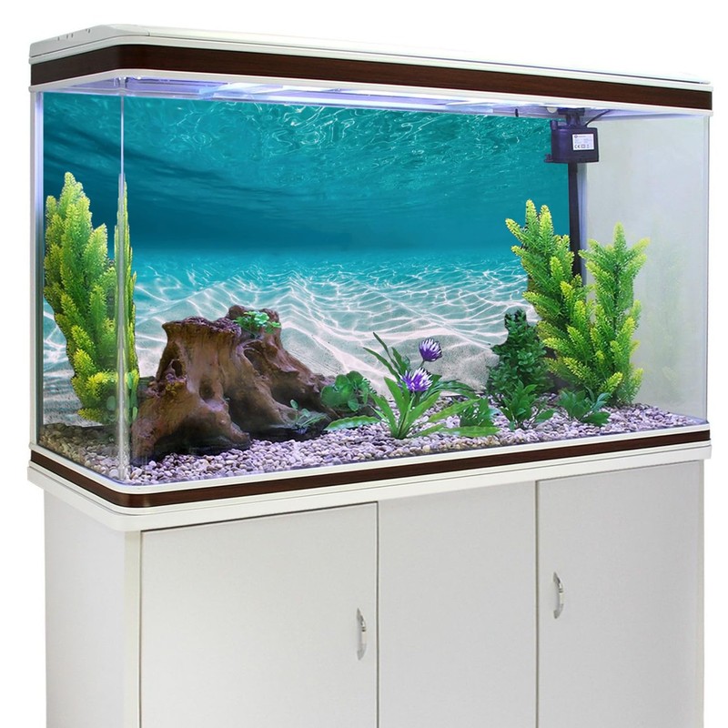AWERT 48x24 inches Undersea Aquarium Background Pool Ocean Floor Aquarium