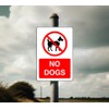 Safety First Display LTD No dogs sign - 1.2mm Rigid